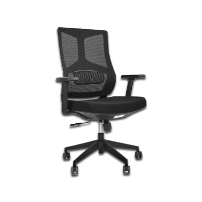 Noir Neo Oree C5 Ergonomic Office